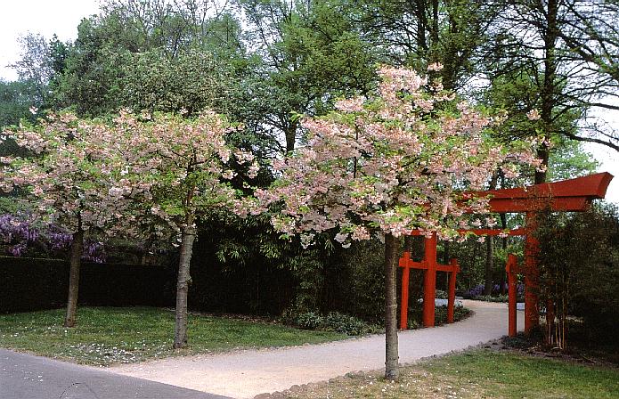 Keukenhof