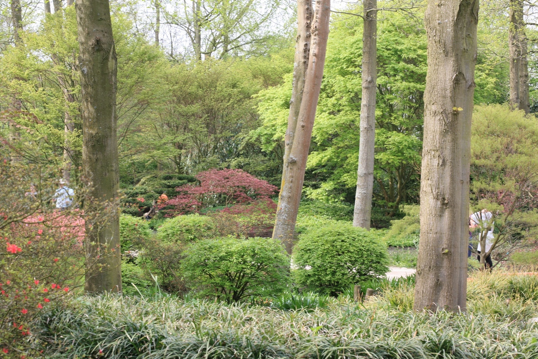 Keukenhof