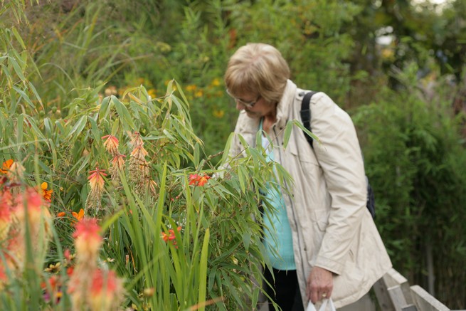 Beschrijving: plantentuin'12