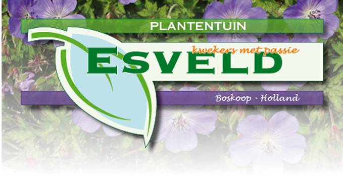 plantentuin_bovenbalk kopie