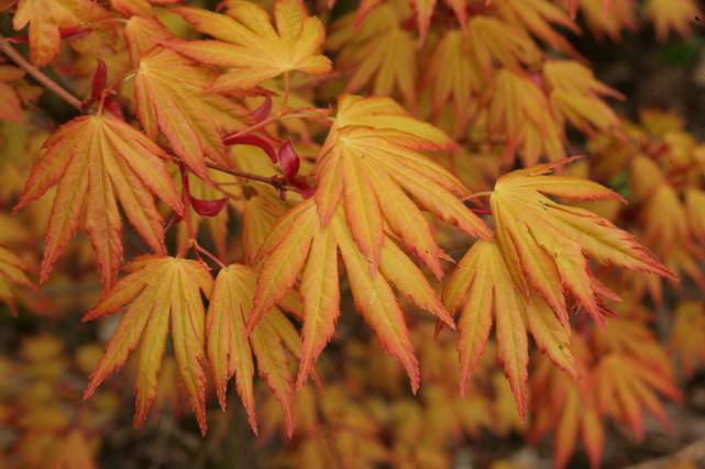 Macintosh HD:Users:saskiasjollema:Documents:SASKIASCHRIJFT:Esveld:2015:beeld infokrant 2016:56759.jpg