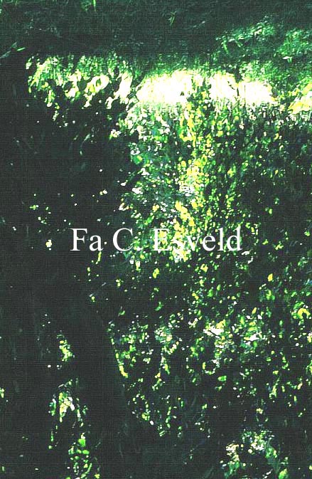 Alnus incana 'Pendula'