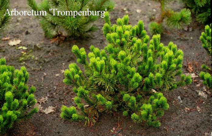Plantentuin Esveld
