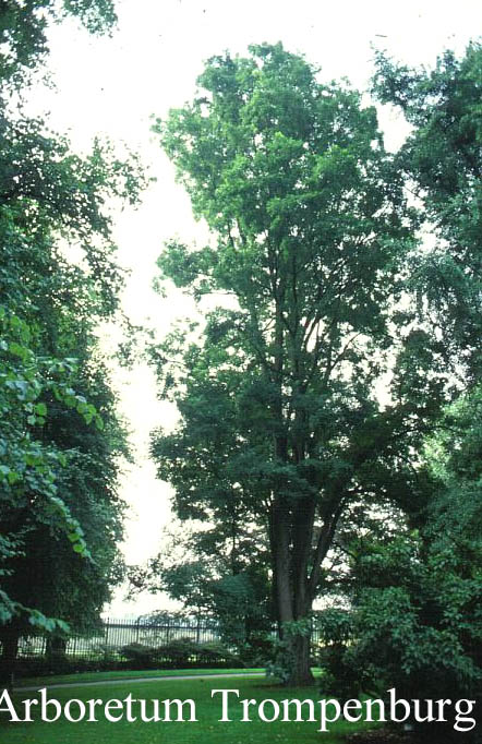 Plantentuin Esveld