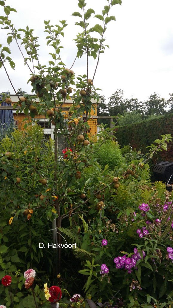Plantentuin Esveld