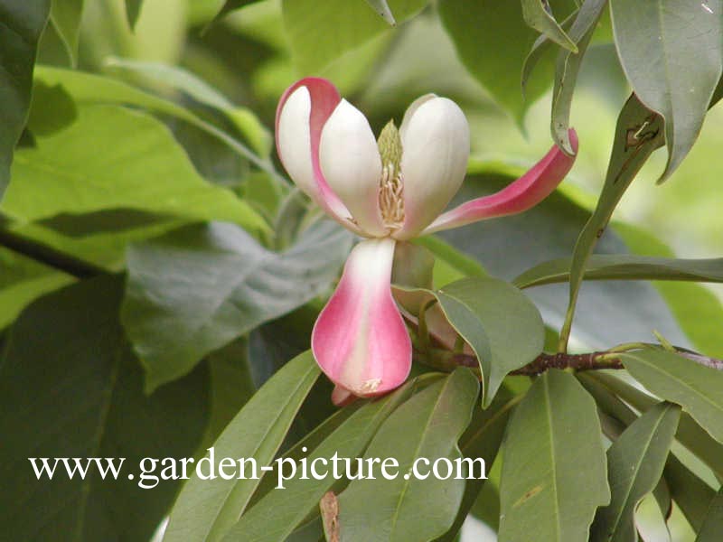 Plantentuin Esveld
