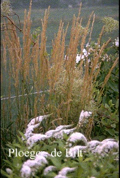 Plantentuin Esveld
