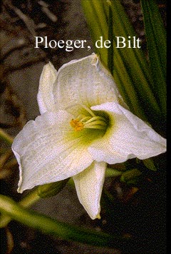 Plantentuin Esveld