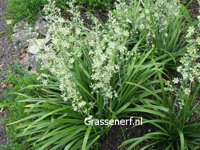 Plantentuin Esveld