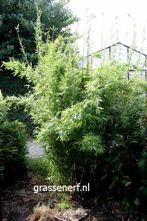 Plantentuin Esveld