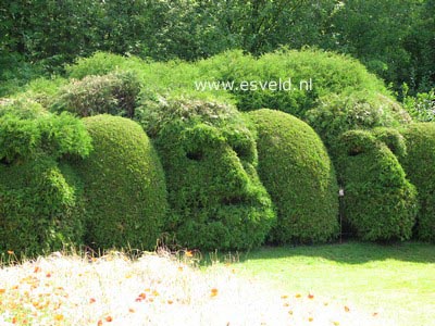 Plantentuin Esveld