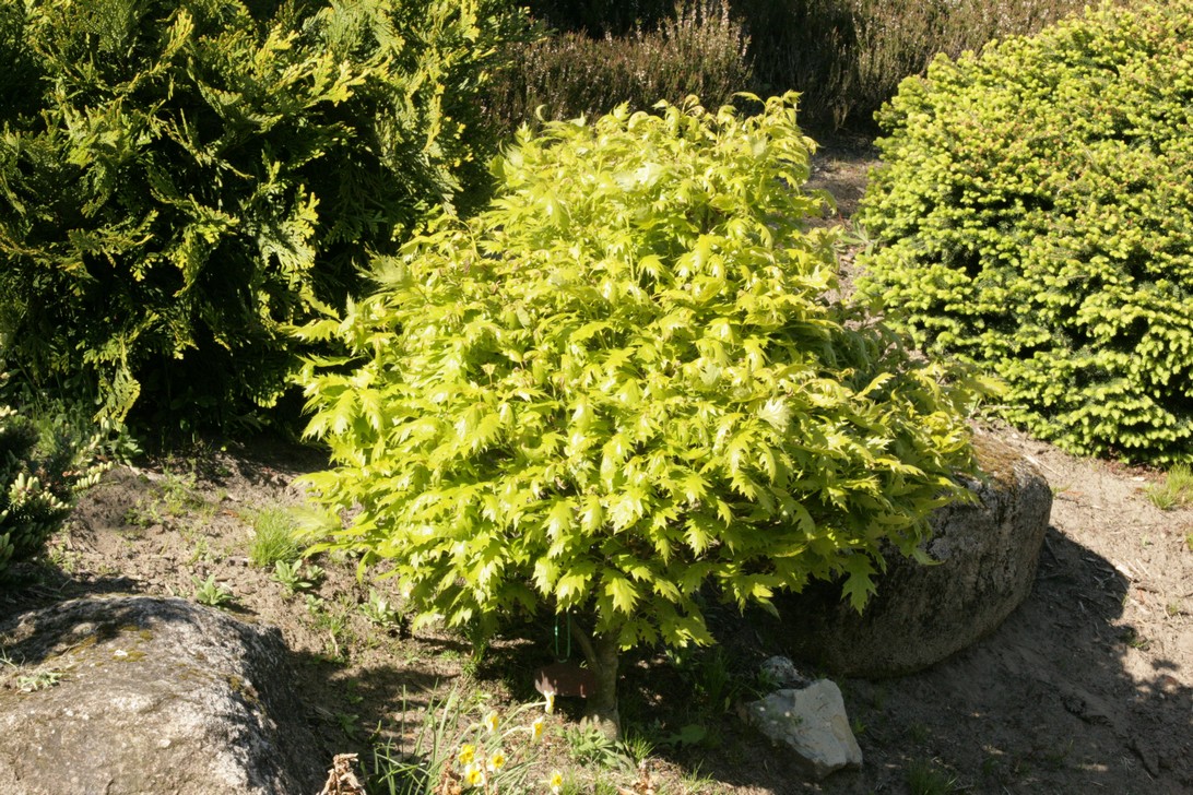 Plantentuin Esveld