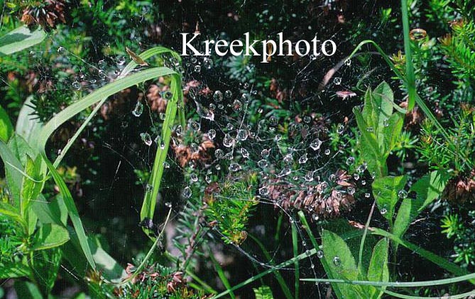 Plantentuin Esveld