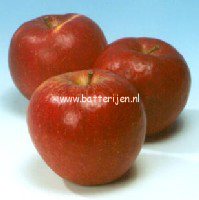 Malus domestica 'Decosta' (88311)