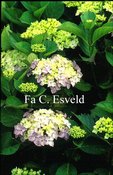 Hydrangea macrophylla 'Souvenir de Mme. E. Chautard'
