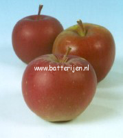 Malus domestica 'Jonathan'