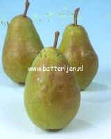 Pyrus communis 'Charneux'