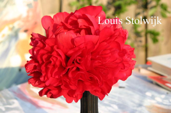 Paeonia 'Edgar Jessep'