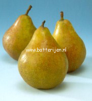 Pyrus communis 'Gieser Wildeman'