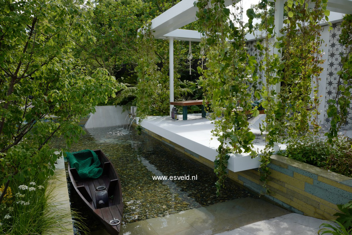 Parthenocissus tricuspidata