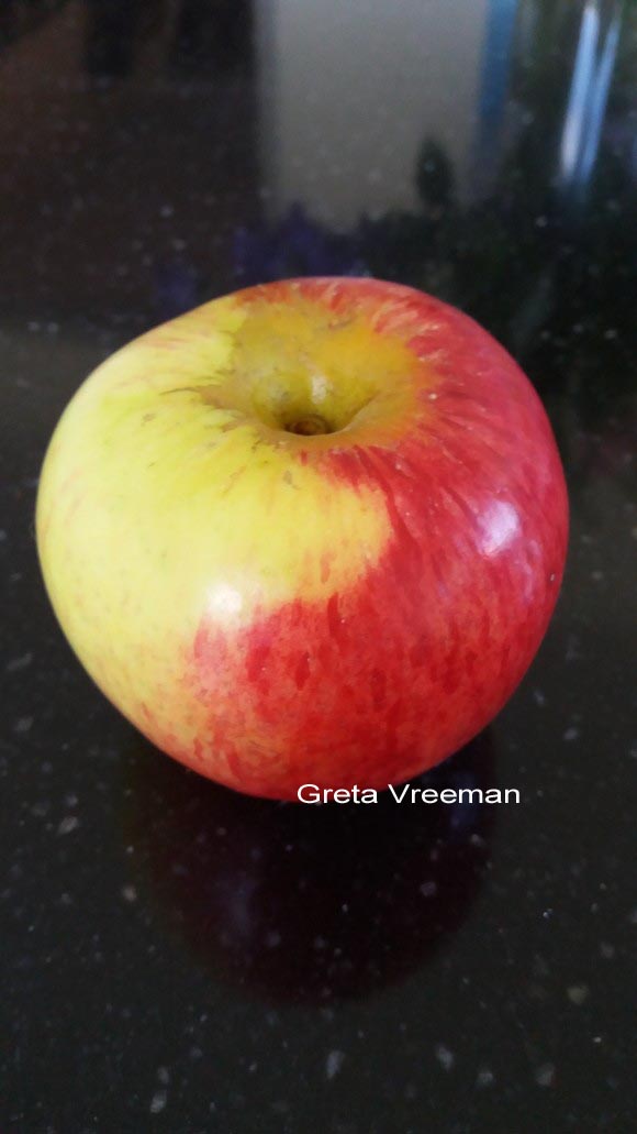 Malus domestica 'Hermien van Eibergen'
