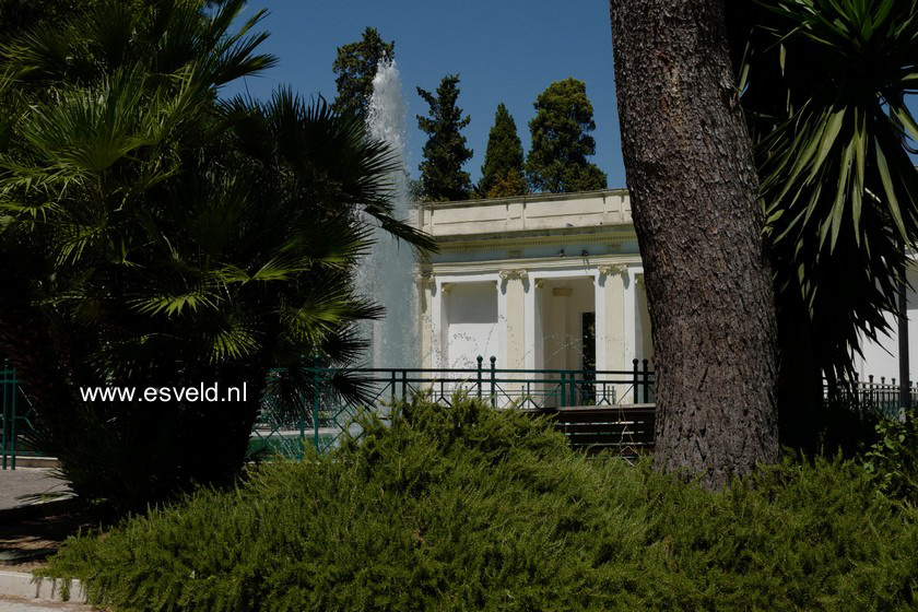 Rosmarinus officinalis 'Prostratus'