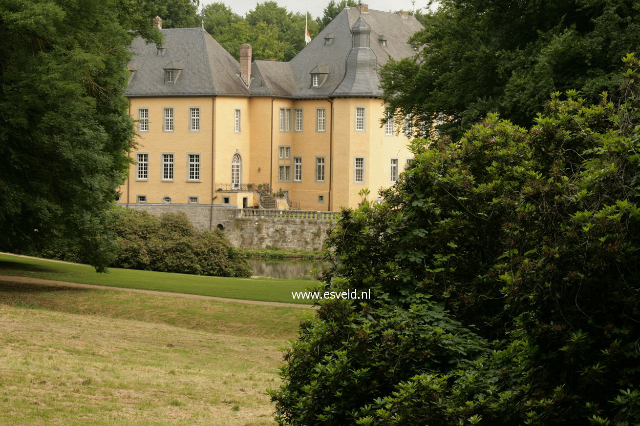 Rhododendron ponticum