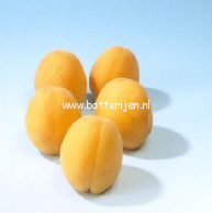 Prunus armeniaca 'Hongaarse'