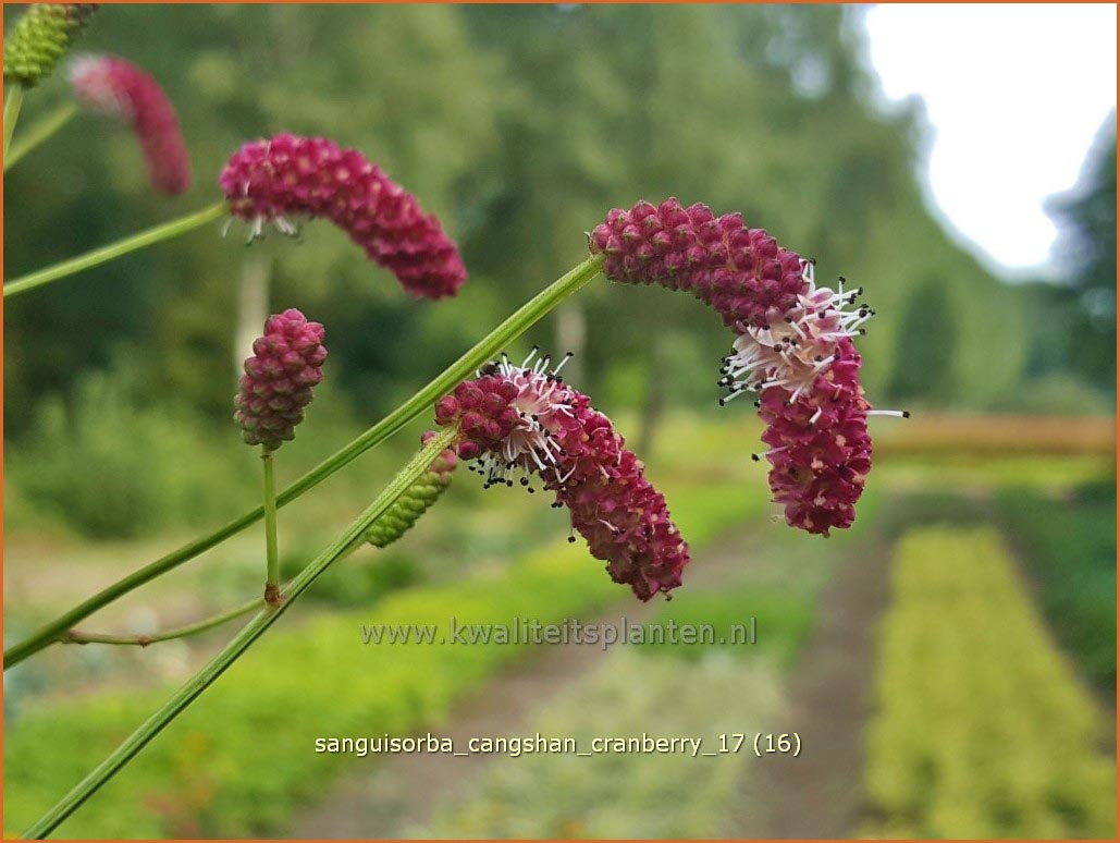 Plantentuin Esveld