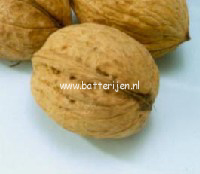 Juglans regia 'Nr. 26' (GEISENHEIMER WALLNUSS (88566)