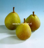 Pyrus communis 'Kruidenierspeer' (88428)