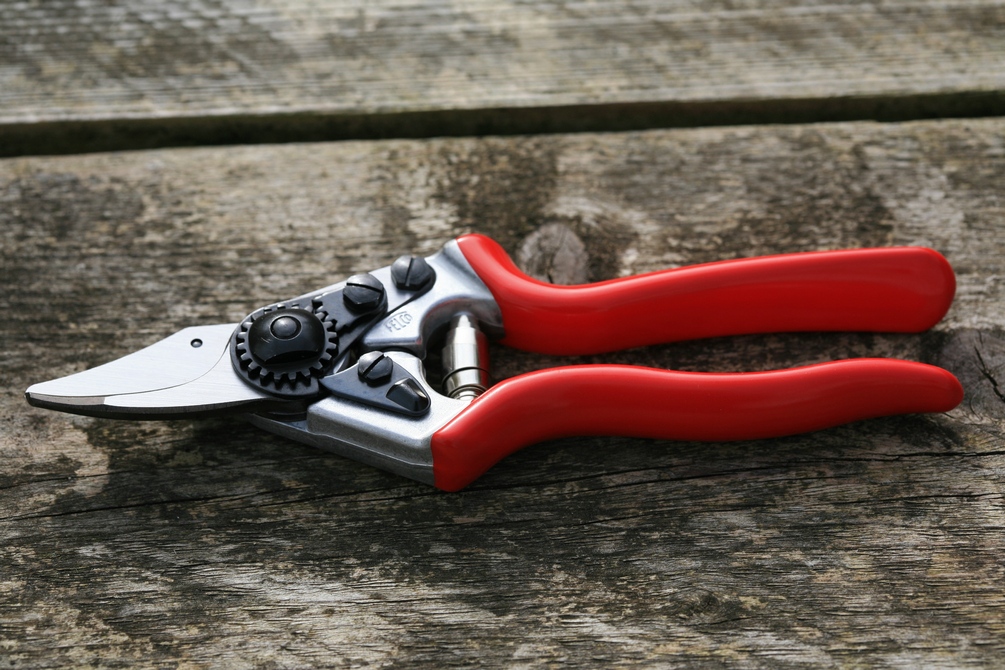 Snoeischaar nr 6 Felco