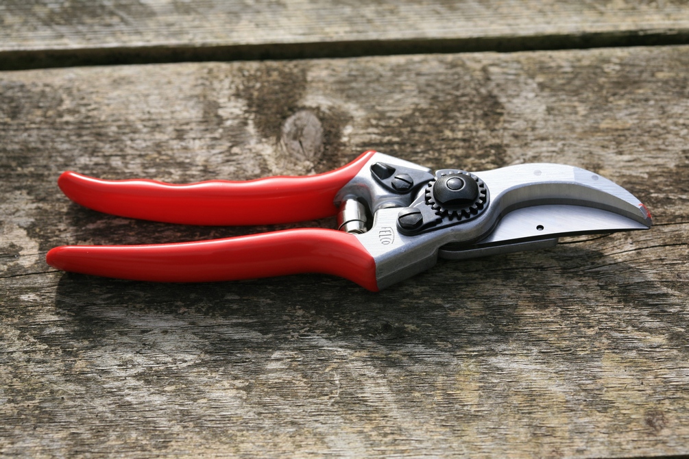 Snoeischaar nr Felco